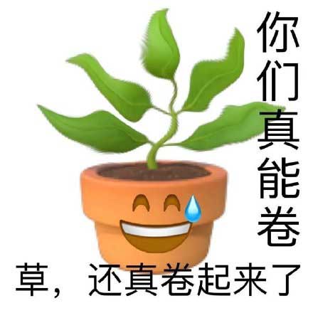 这草，还真卷起来了