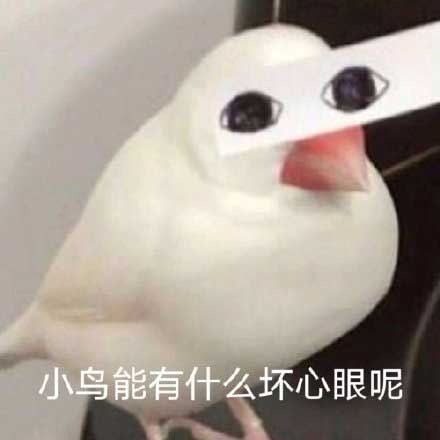 小鸟能有什么坏心眼呢