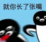 就你长了张嘴(小企鹅表情包)