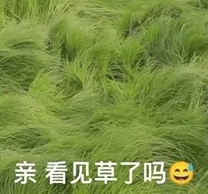 亲看见草了吗