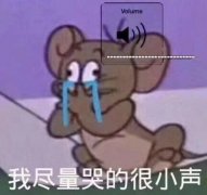 Volume 我尽量哭的很小声