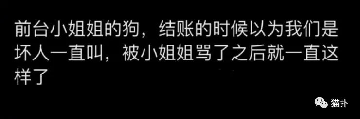 轻松一刻：打工是不可能打工的，只有偷电缆维持生活