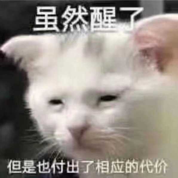 虽然醒了但是也付出了相应的代价(猫咪犯困表情包)