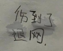 伤到了退网(手写字体表情包)