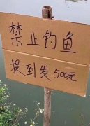 禁止钓鱼，捉到发500元