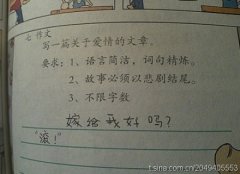 搞笑的简洁爱情文章