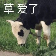 草爱了