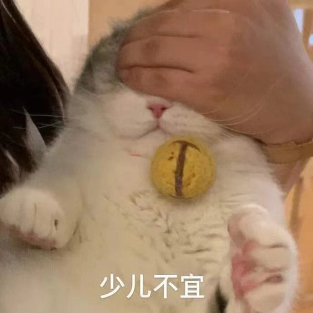 少儿不宜(猫咪表情包)