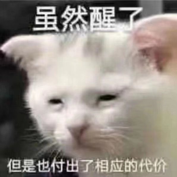 虽然醒了但是也付出了相应的代价(猫咪睡眼朦胧)