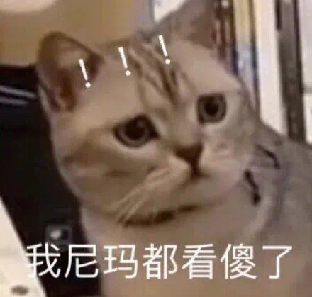 我尼玛都看傻了(猫咪表情包)