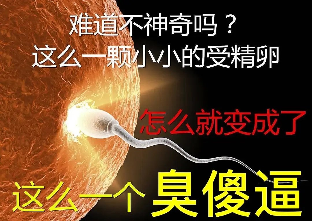 难道不神奇吗?这么一颗小小的受精卵怎么就变成了这么个臭傻逼