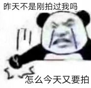 昨天不是刚拍过我吗 怎么今天又要拍（微信拍一拍表情包）