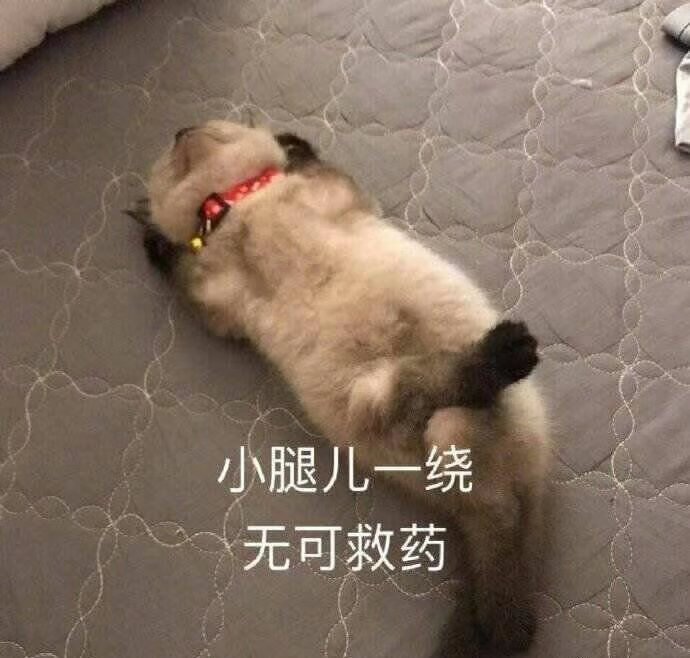 小腿儿一绕无可救药