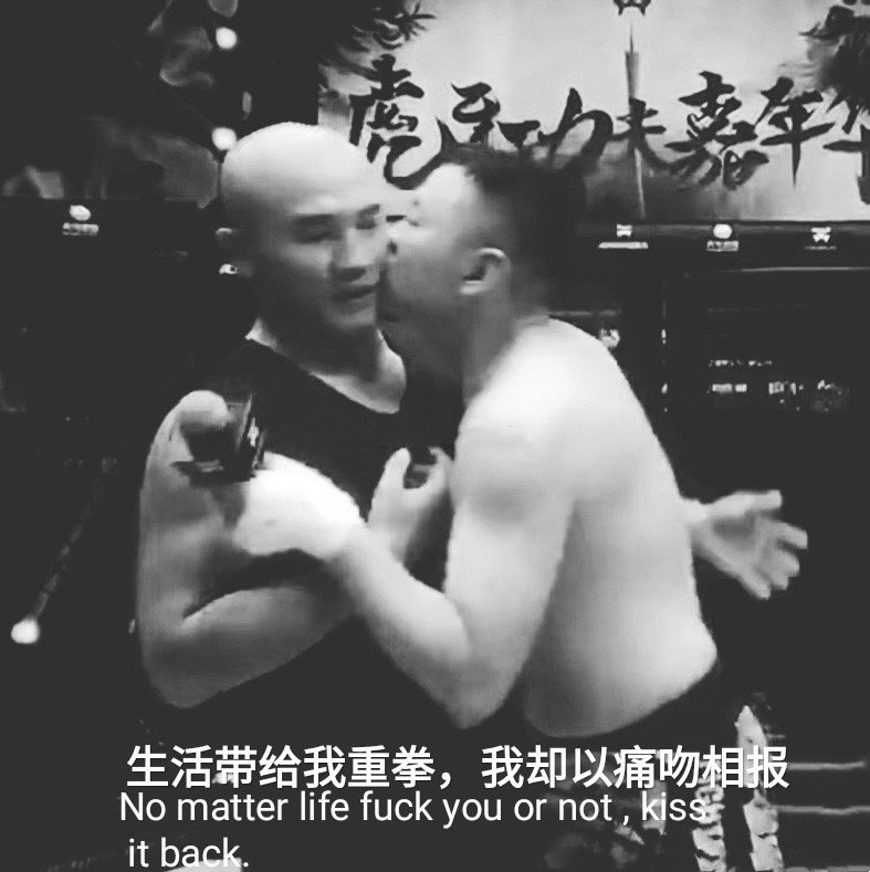 生活带给我重拳 ，我却以痛吻相报