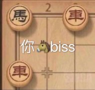 你马biss