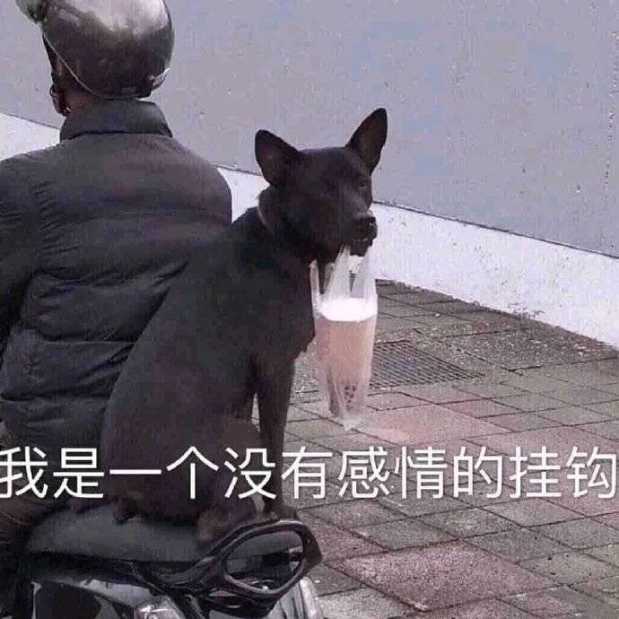 我是一个没有感情的挂钩