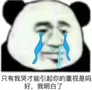 只有我哭才能引起你的重视是吗好,我明白了