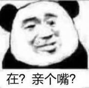 在?亲个嘴?