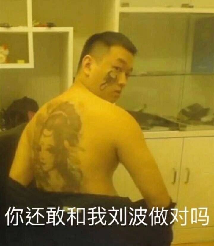 你还敢和我刘波做对吗（药酱药水哥）