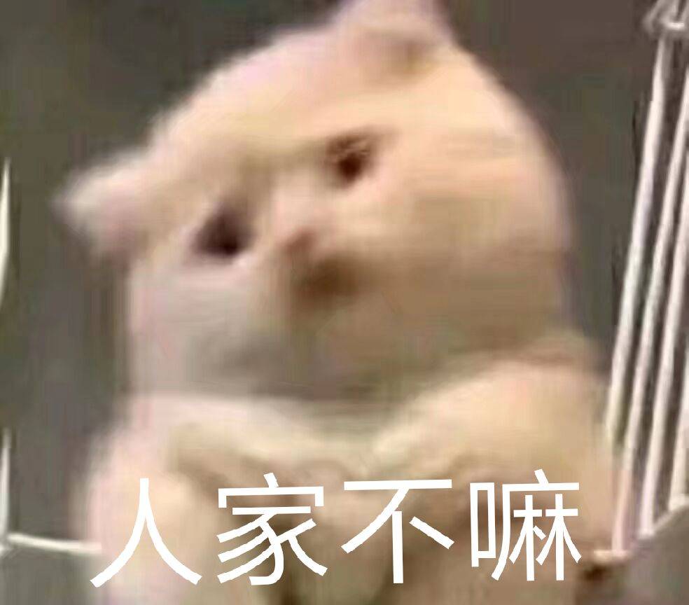 人家不嘛（猫咪）