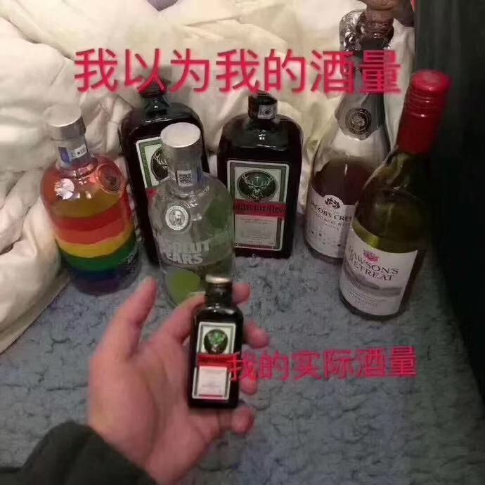 我以为我的酒量vs 我的实际酒量