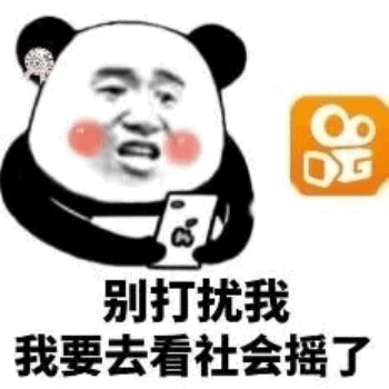 别打扰我我要去看社会摇了