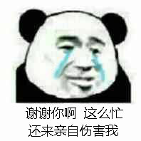 谢谢你啊 这么忙还来亲自伤害我（熊猫头）