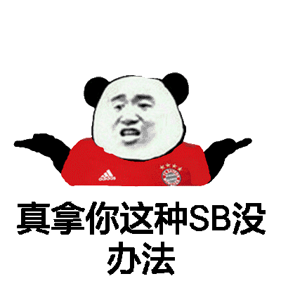 真拿你这种SB没办法