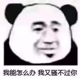 我能怎么办我又骚不过你