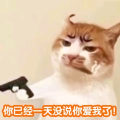 你已经一天没说你爱我了（猫咪）