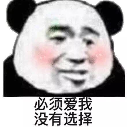 必须爱我，没有选择