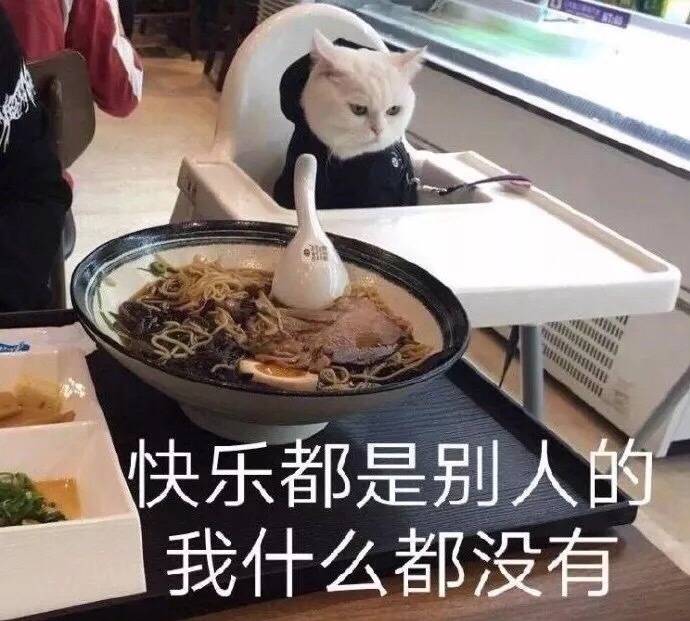 快乐都是别人的，我什么都没有（猫咪看主人吃拉面）