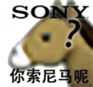 SONY?你索尼马呢（你说你妈呢）