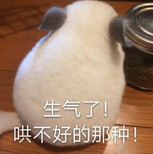 生气了！哄不好的那种！