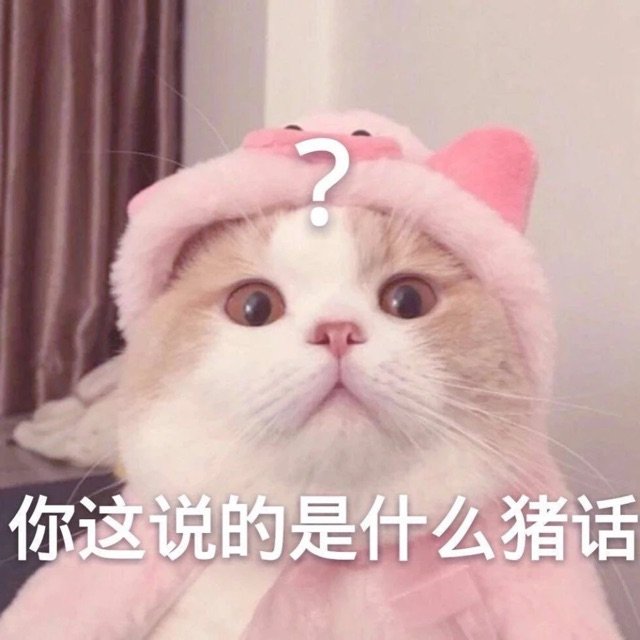 你这说的是什么猪话(猫咪问号表情包)