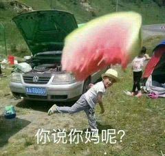 你说你妈呢?(丢西瓜)