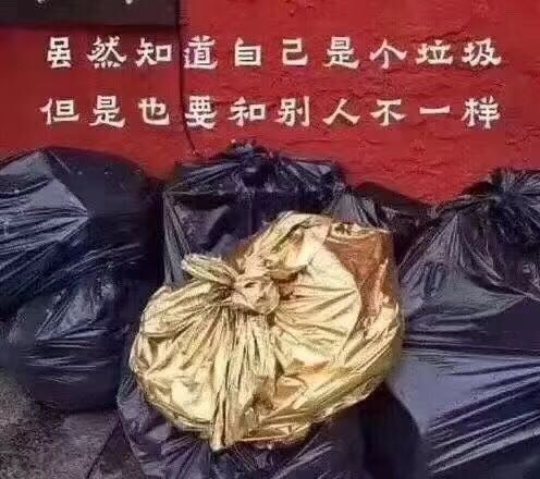 虽然知道自己是个垃圾，但是也要和别人不一样