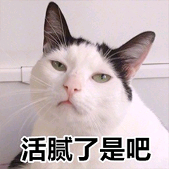 活腻了是吧（猫咪）