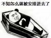 不知怎么就被安排进去了(熊猫人棺材表情包)