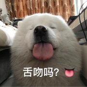 舌吻吗?(汪星人)