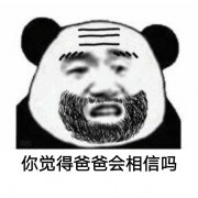 你觉得爸爸会相信吗