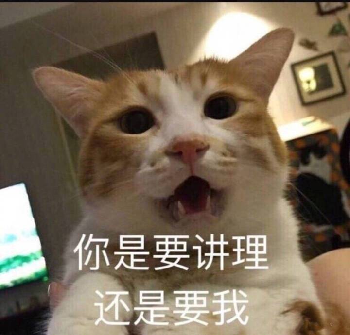 你是要讲理还是要我