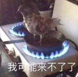 我可能来不了了（放鸽子）