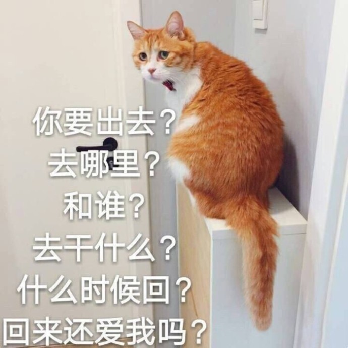 猫咪：你要出去？去哪里？和谁？去干什么？什么时候回？回来还爱我吗？