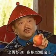 你再胡说，我把你嘴堵上（《铁齿铜牙纪晓岚》王刚和珅和大人）