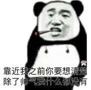 靠近我之前你要想清楚，除了帅气我什么都没有（熊猫头）