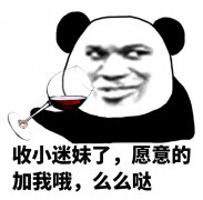 收小迷妹了，愿意的加我哦，么么哒