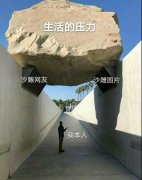 生活的压力沙雕网友沙雕图片我本人