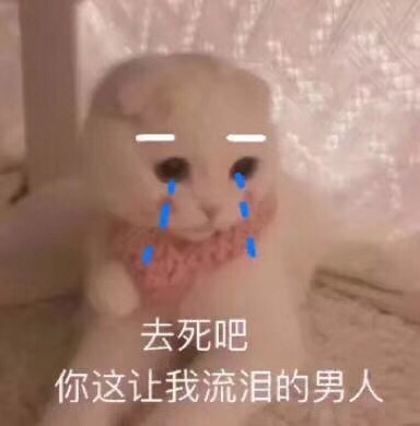 去死吧你这让我流泪的男人