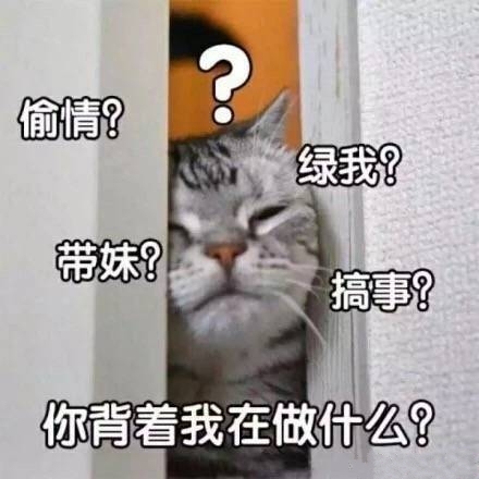 猫咪门缝偷看：偷情？带妹？绿我？搞事？你背着我在做什么？